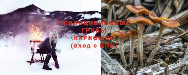 СК Верхний Тагил