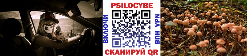 Галлюциногенные грибы прущие грибы  что такое наркотик  omg вход  Орехово-Зуево 